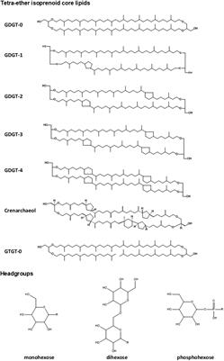 A Novel Approach to Characterize the Lipidome of Marine Archaeon Nitrosopumilus maritimus by Ion Mobility Mass Spectrometry